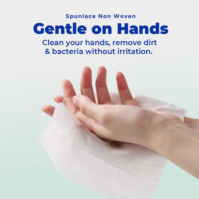 [Carton] Alcean 0% Alcohol Antibacterial Wipes (50 Wipes x 24 Packs)